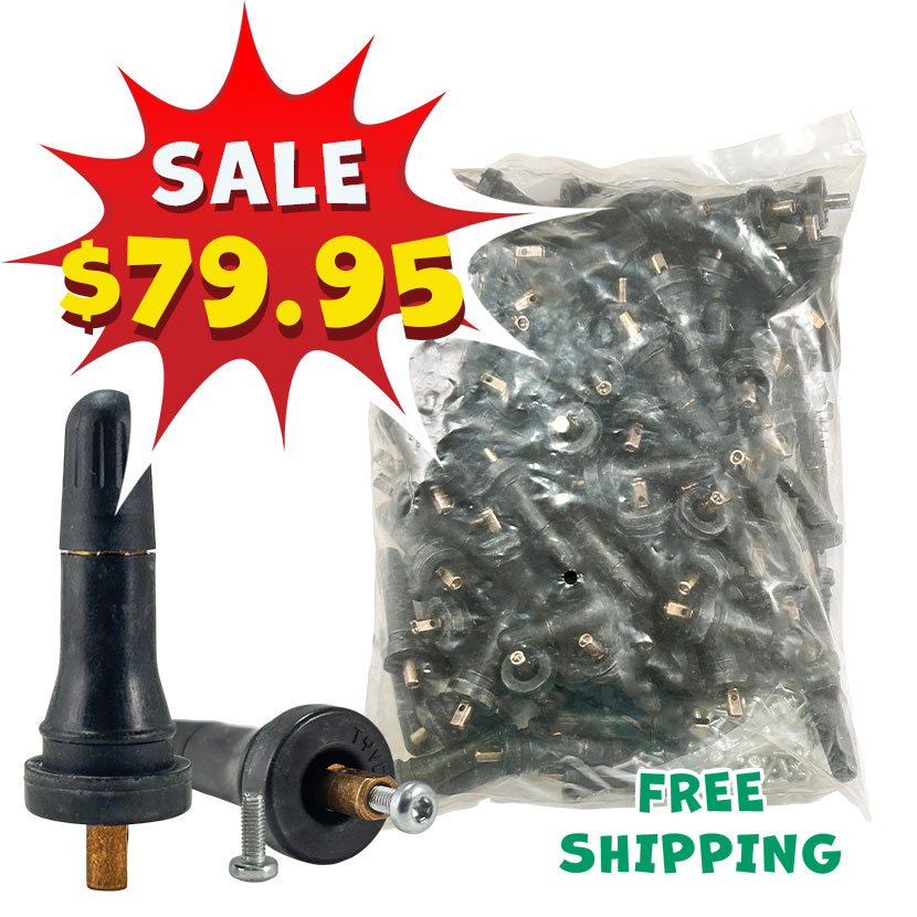 AAValueline TPMS 20008 Snap-in Valve for GM, 0.453" (Bag of 100)